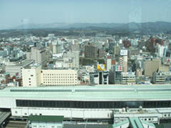 盛岡を上から2006.JPG